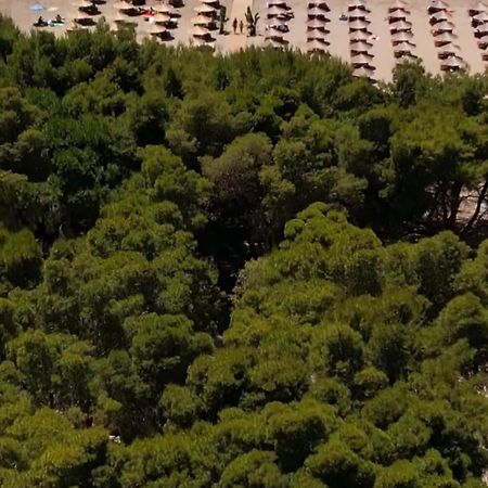 Relax Camping Vlore Otel Dış mekan fotoğraf